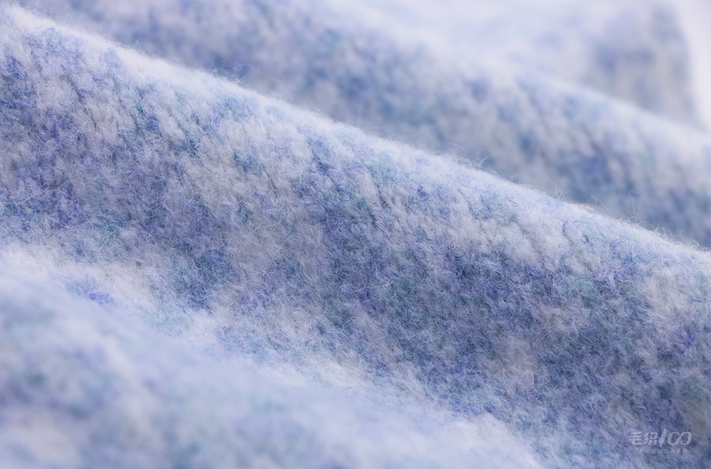 Type 12 product image 3